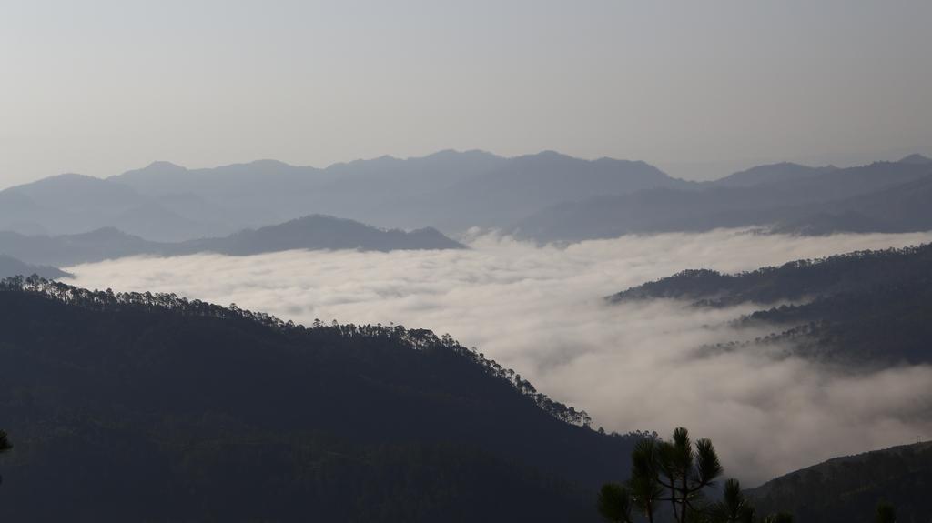 Ram Singh Mehra Guest House Almora Bagian luar foto